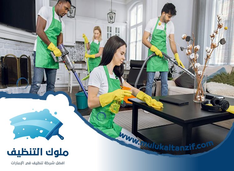 شركة تنظيف في الضاحية