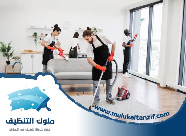 شركة تنظيف