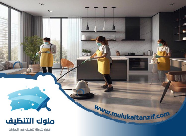 شركة تنظيف في النعيمية