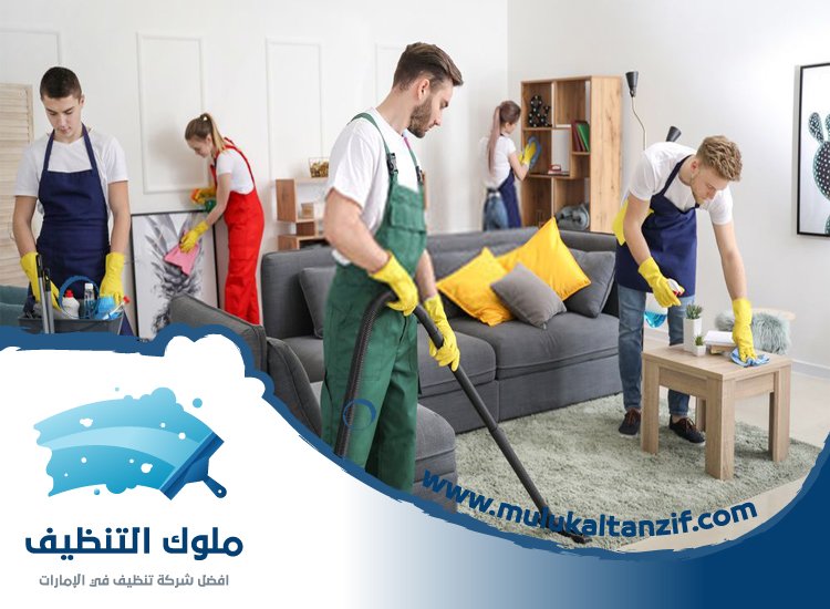 شركة تنظيف
