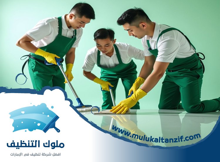 شركة تنظيف