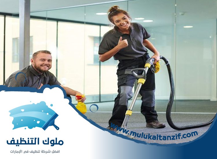 شركة تنظيف في الصفا