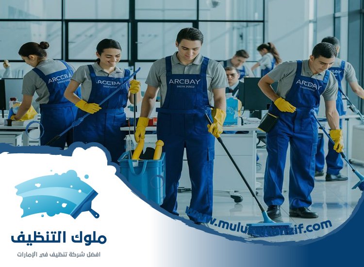 شركة تنظيف في الصفا