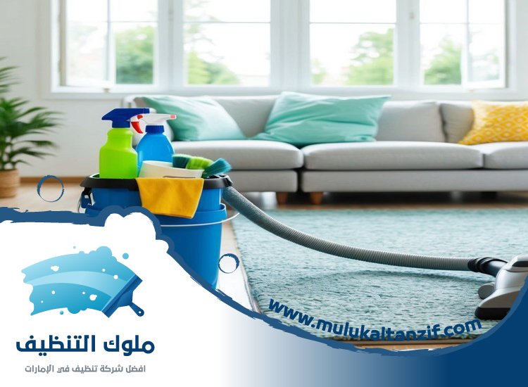 شركة تنظيف