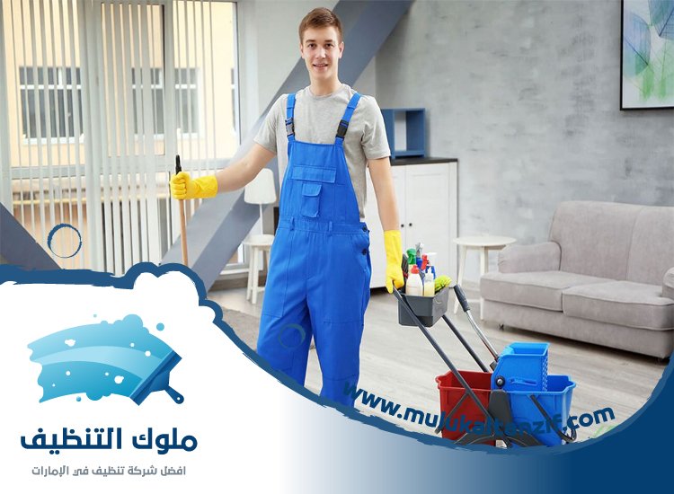 شركة تنظيف
