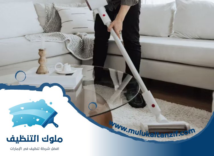 شركة تنظيف في بالميرا