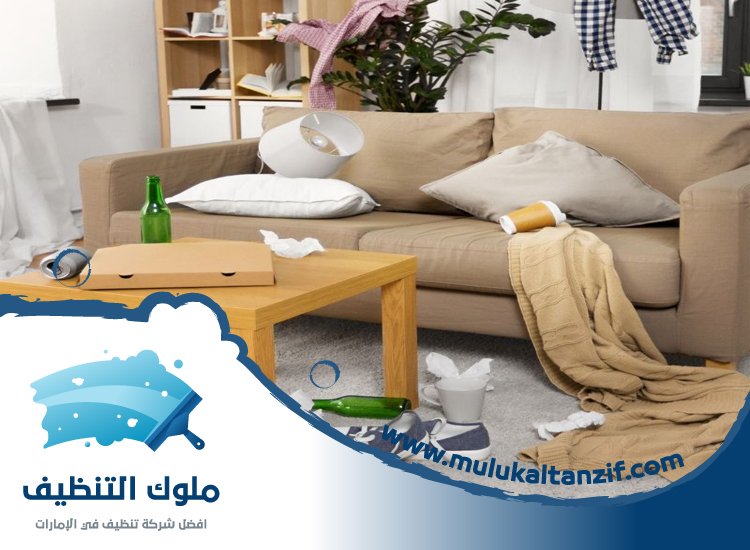 شركة تنظيف في بالميرا