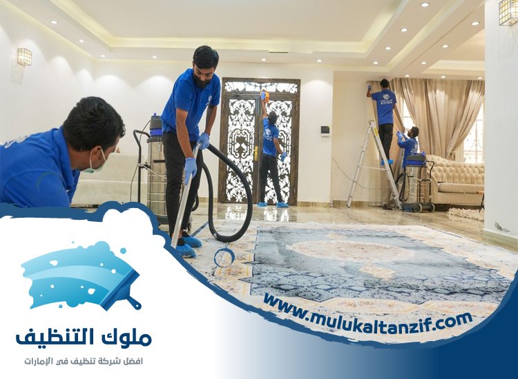 شركة تنظيف في النخيل
