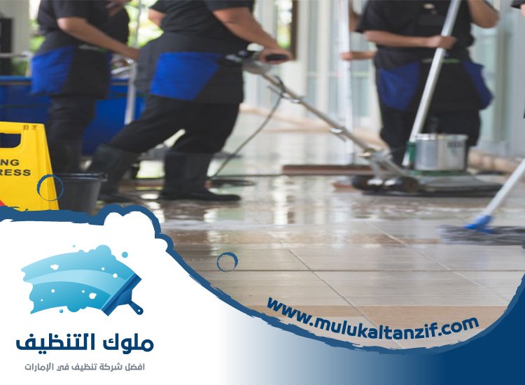 شركة تنظيف في الناصرية