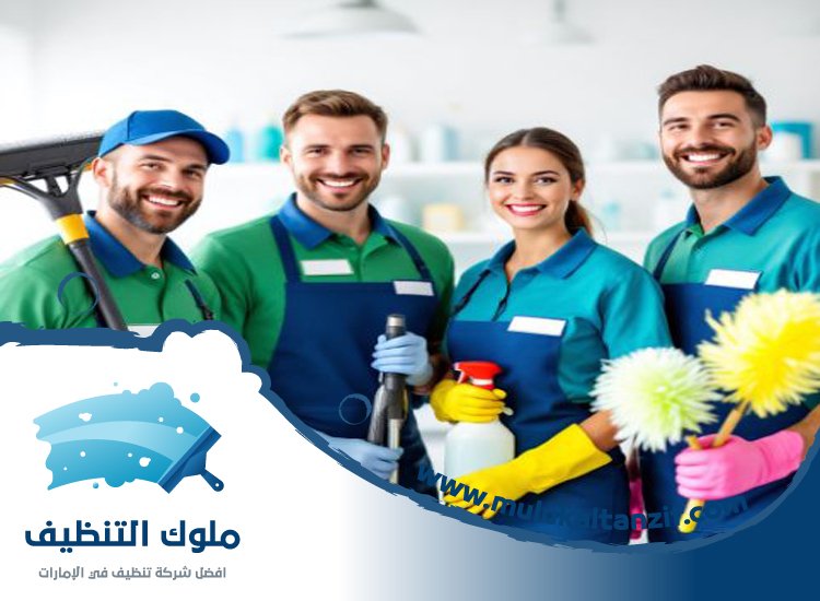 شركة تنظيف