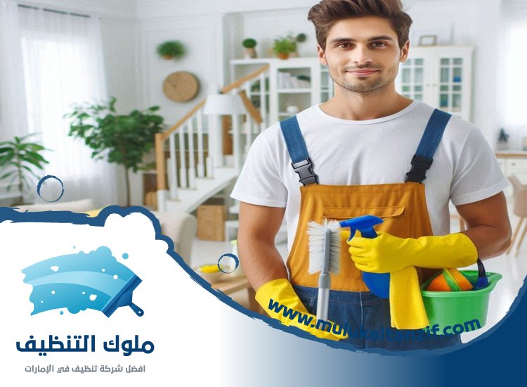 شركة تنظيف