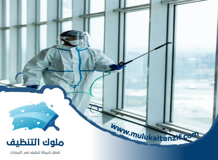 شركة تعقيم في دبي