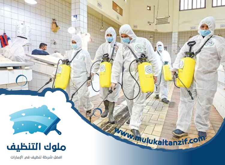 شركة تعقيم في الشارقة