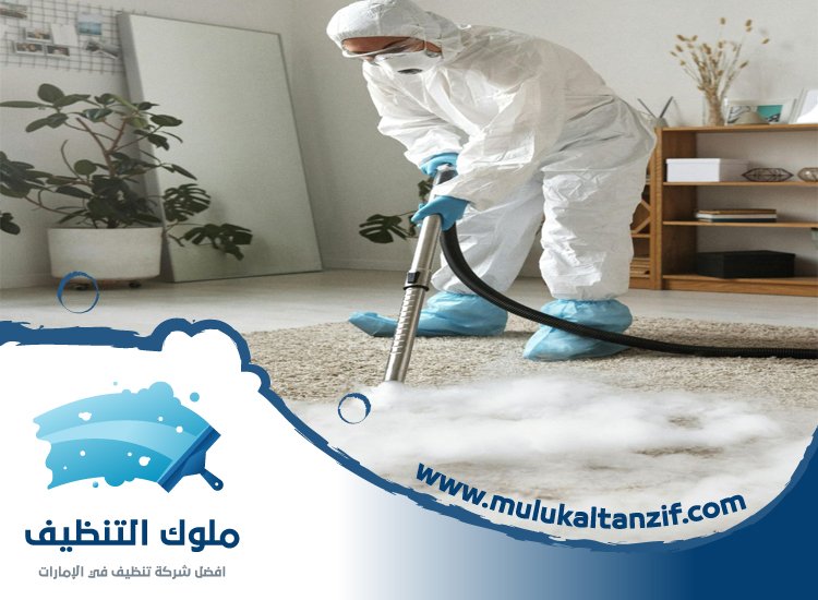 شركة تنظيف مفروشات في الفجيرة