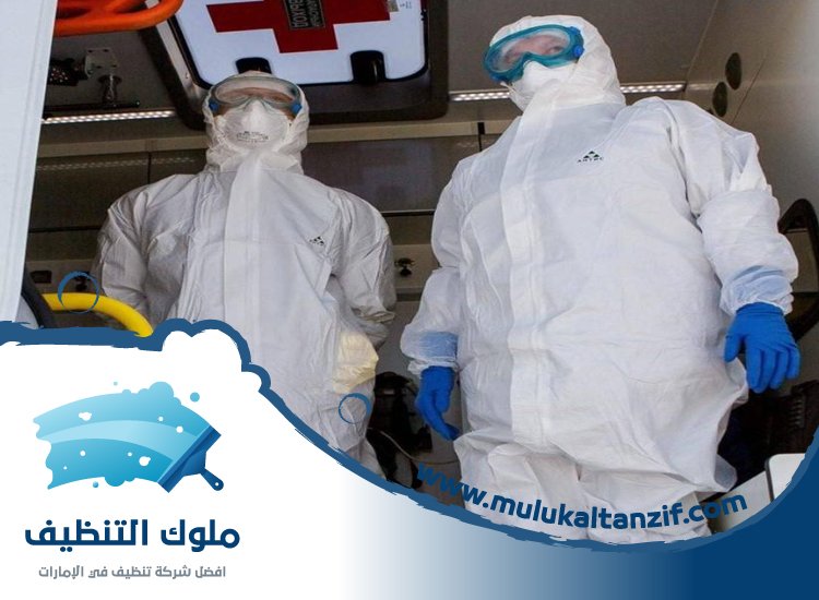 شركة تعقيم في عجمان