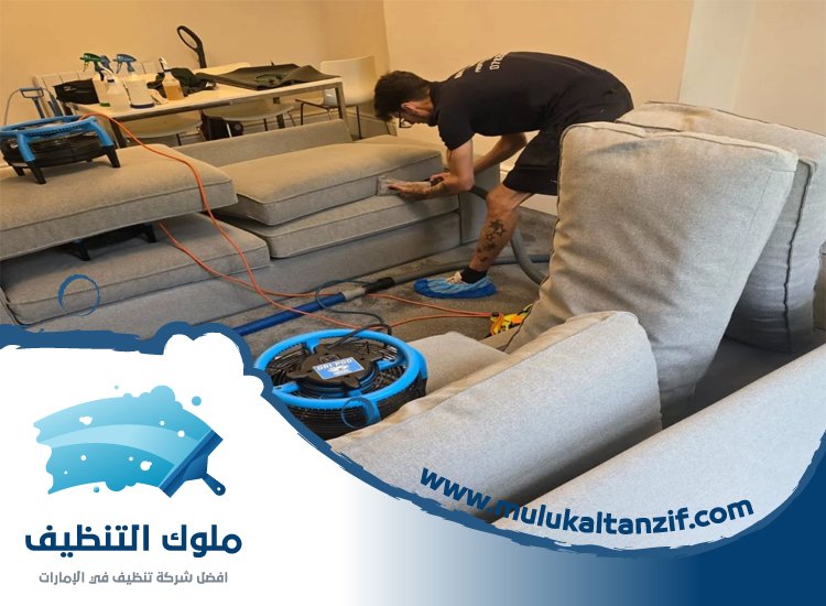 شركة تنظيف مفروشات في الفجيرة
