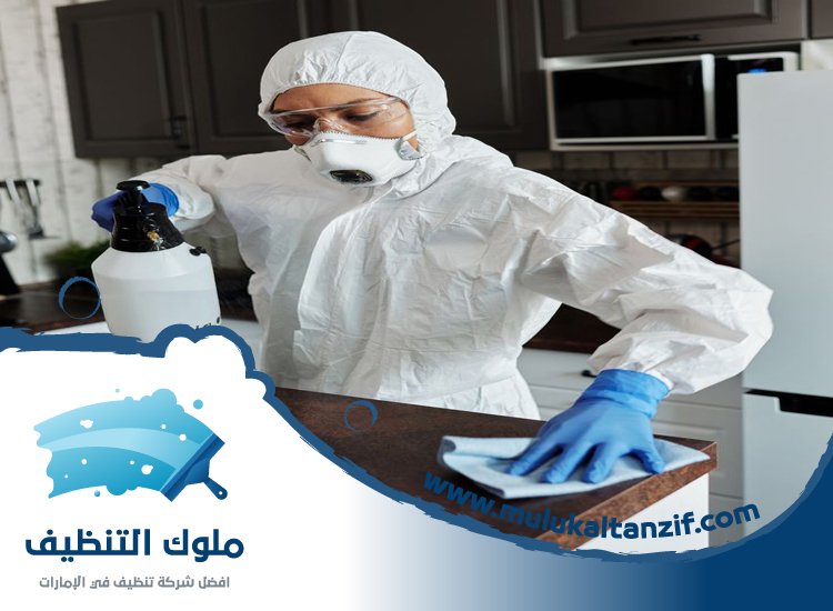 شركة تعقيم في عجمان