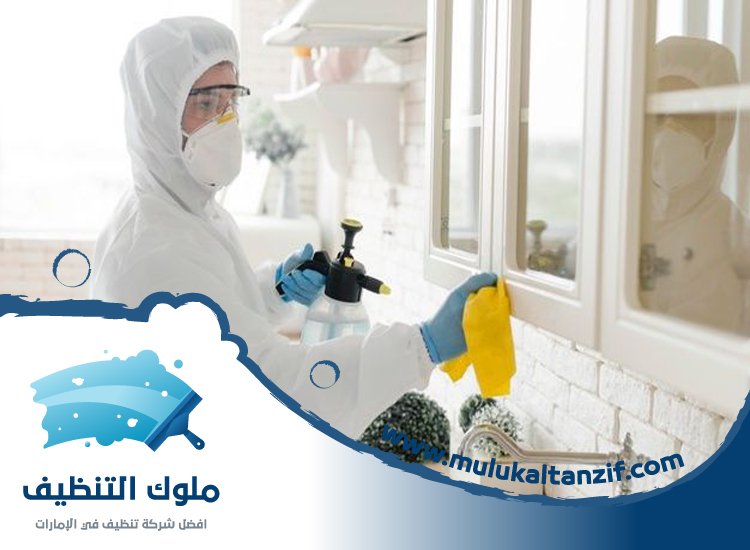 شركة تعقيم في عجمان