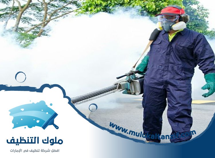 شركة مكافحة حشرات في الفجيرة