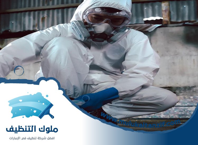 شركة مكافحة حشرات في الفجيرة