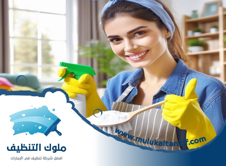 شركة تنظيف في دبا الفجيرة
