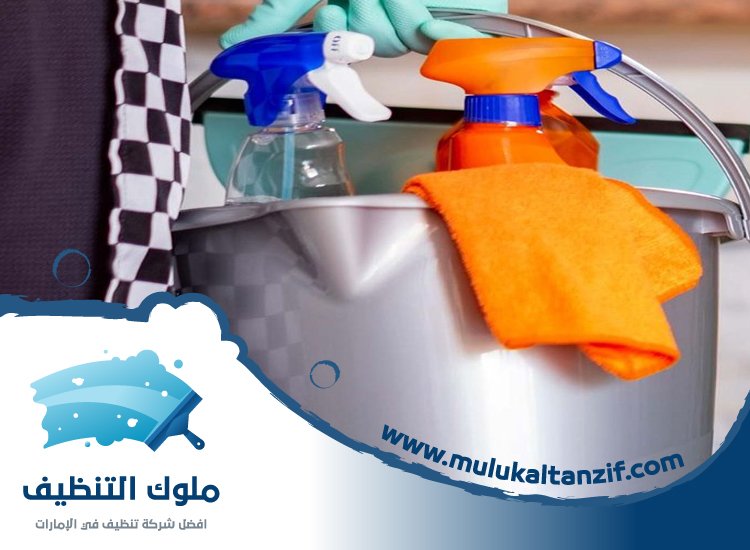 شركة تنظيف في البرشاء