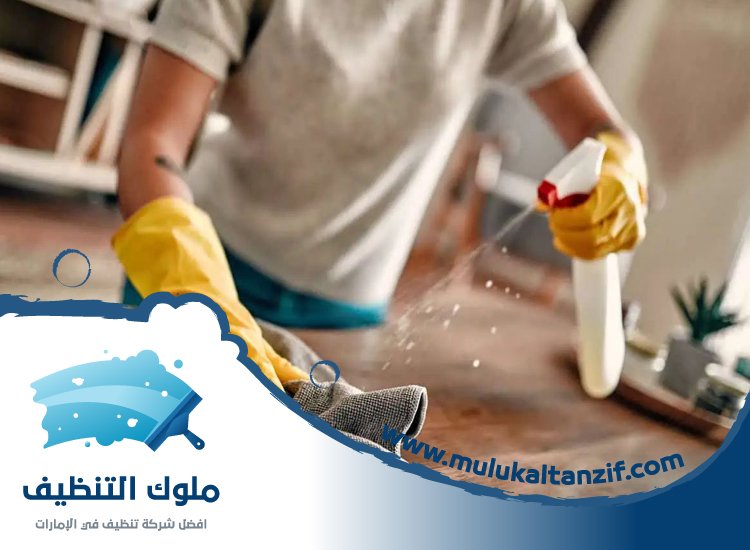 شركة تنظيف في البرشاء