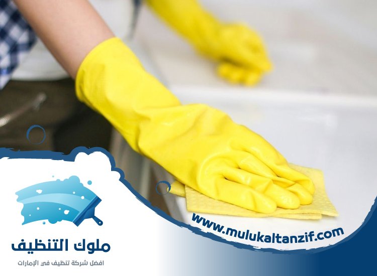 شركة تنظيف في البرشاء