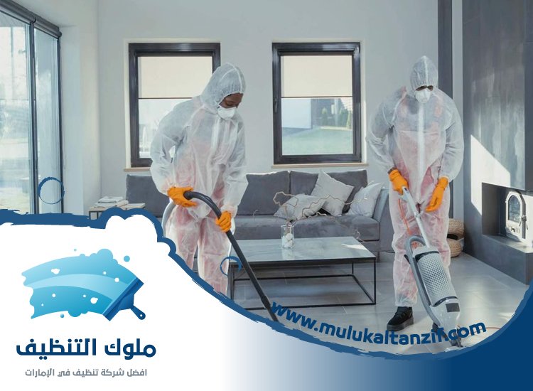 شركة تنظيف في دبا الحصن