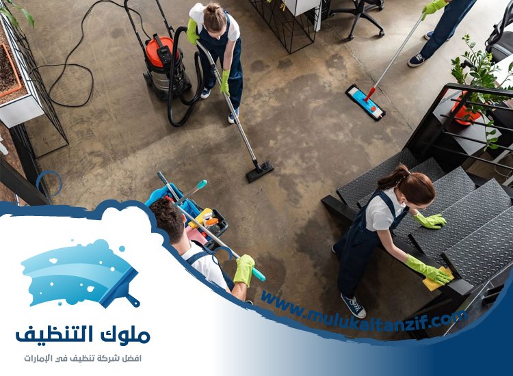 شركة تنظيف في الفصيل