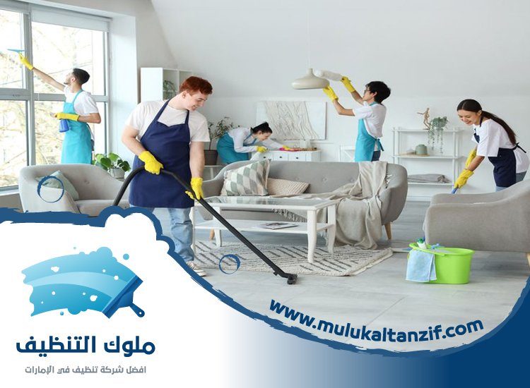 شركة تنظيف في المدام