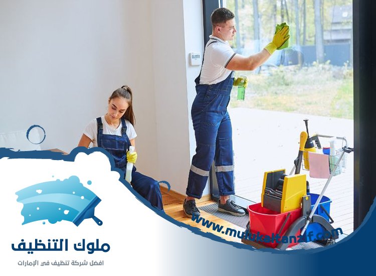 شركة تنظيف في النوف