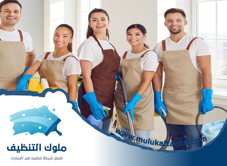 شركة تنظيف
