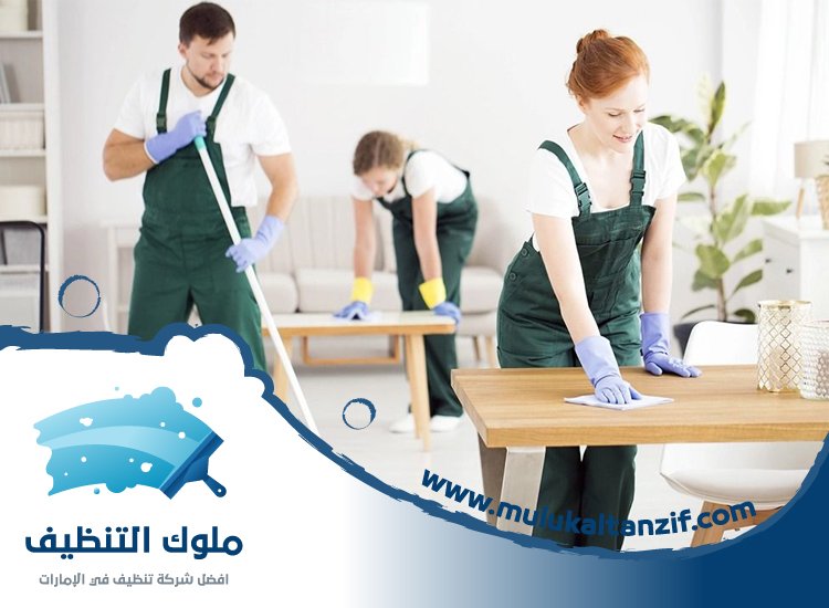 شركة تنظيف