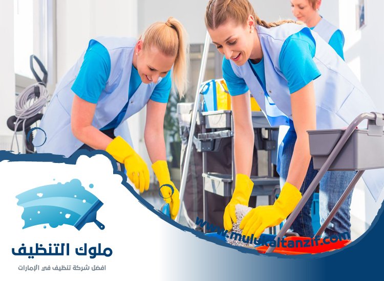 شركة تنظيف
