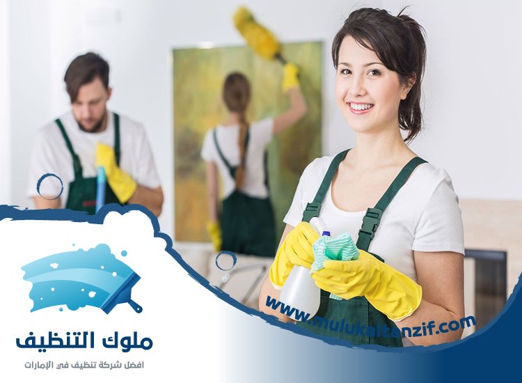 شركة تنظيف
