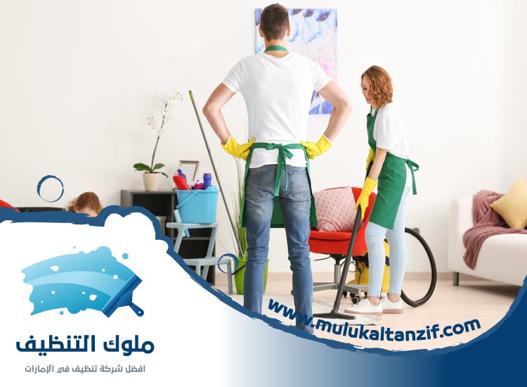 شركة تنظيف