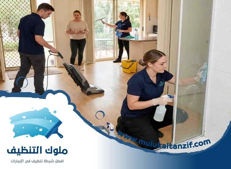 شركة تنظيف في ميسلون