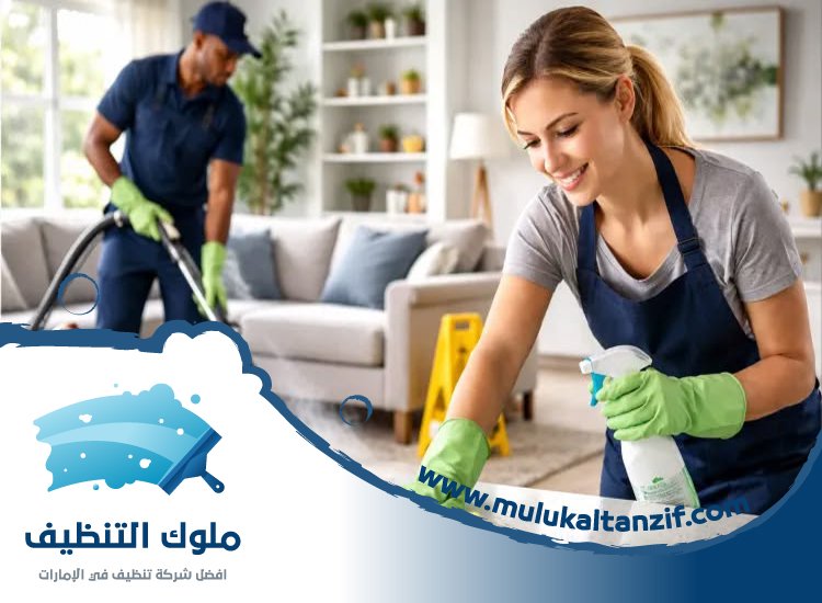 شركة تنظيف