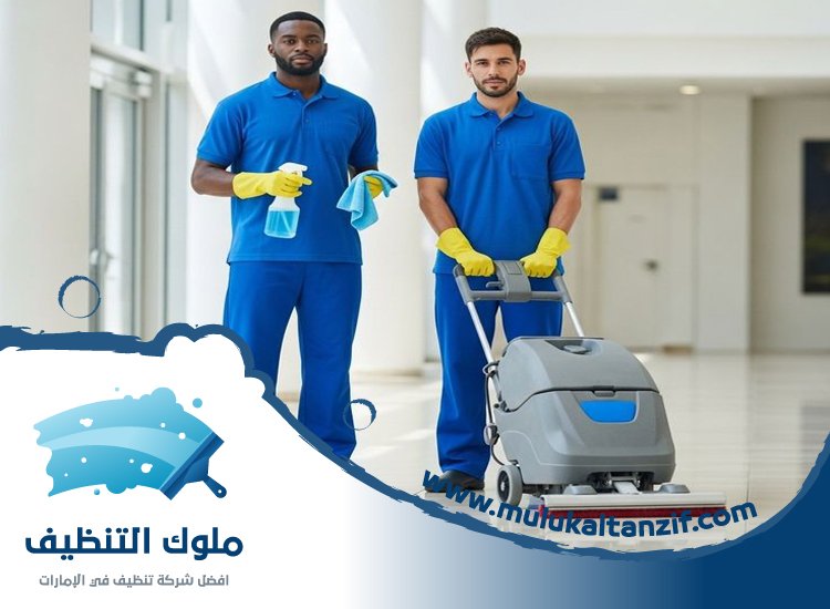 شركة تنظيف