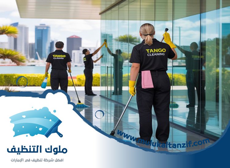شركة تنظيف في مرقب