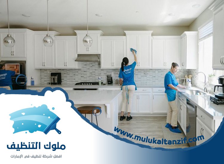 شركة تنظيف في البحيرات