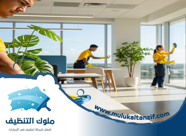 شركة تنظيف في ميناء سعيد