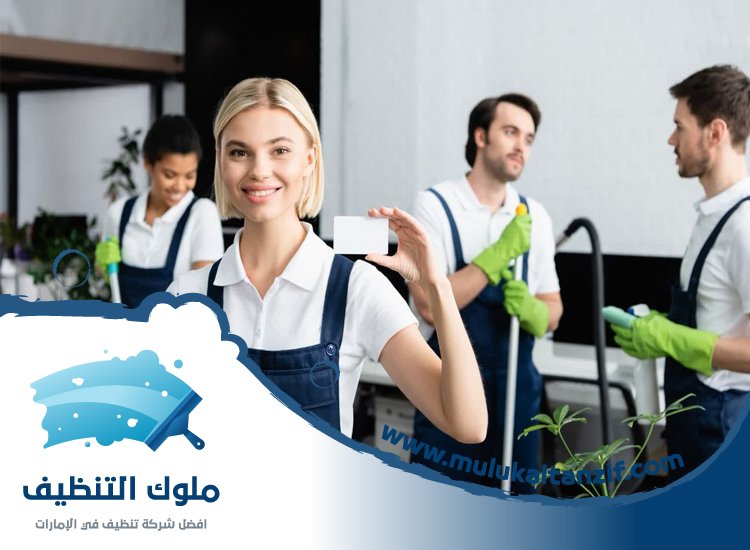 شركة تنظيف في مارينا