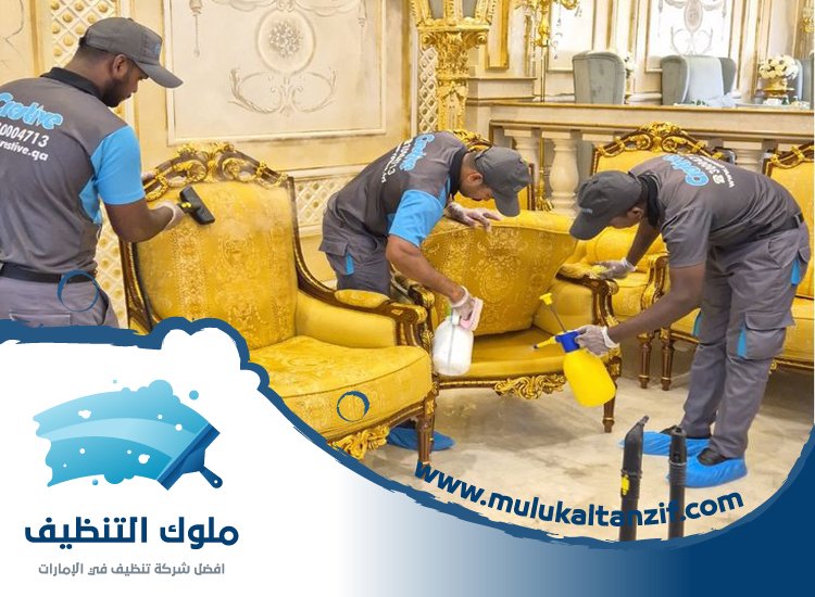 شركة تنظيف