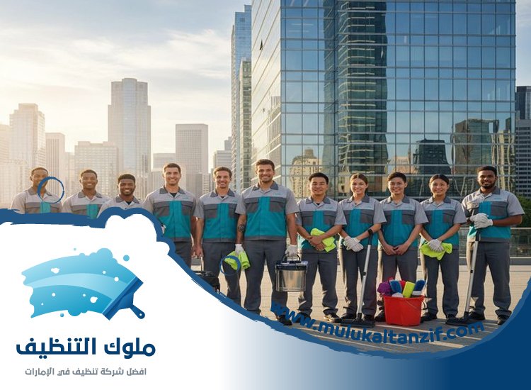 شركة تنظيف