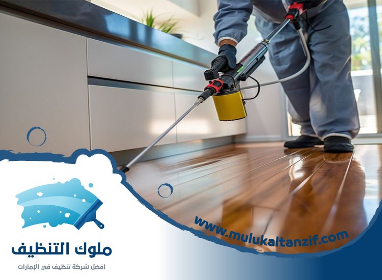 شركة مكافحة حشرات في الحلاة