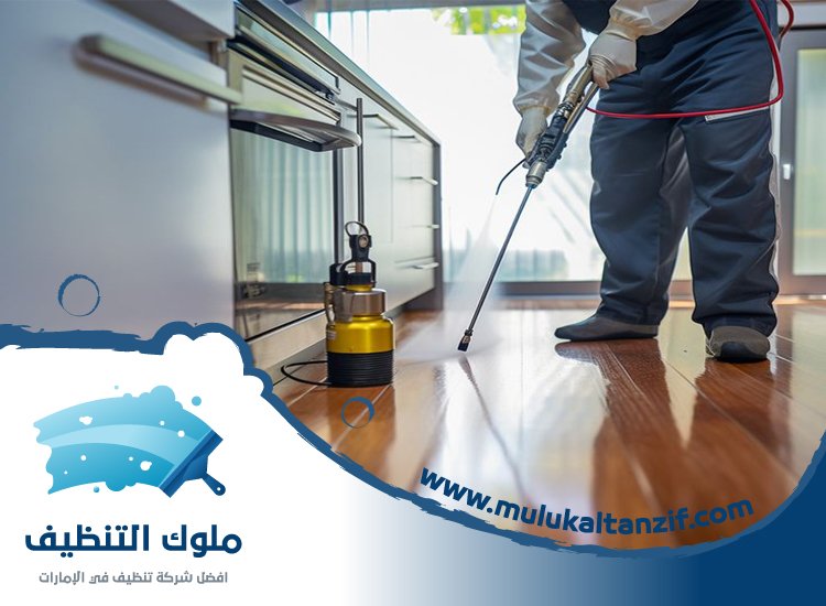 شركة مكافحة حشرات في مسافي الفجيرة