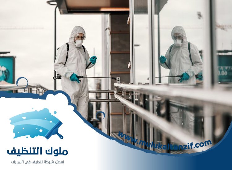 شركة مكافحة حشرات في الحلاة