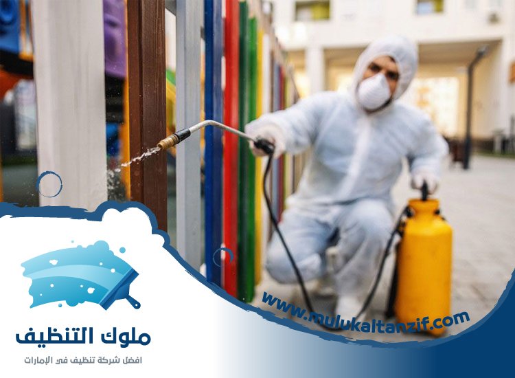 شركة مكافحة حشرات